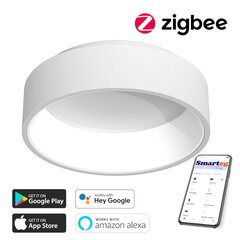 Умный потолочный светильник 60 см, 39 Вт, белый (Zigbee) цена и информация | Потолочные светильники | 220.lv