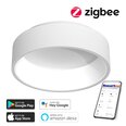 Gudra griestu lampa 60cm 39W white (Zigbee)