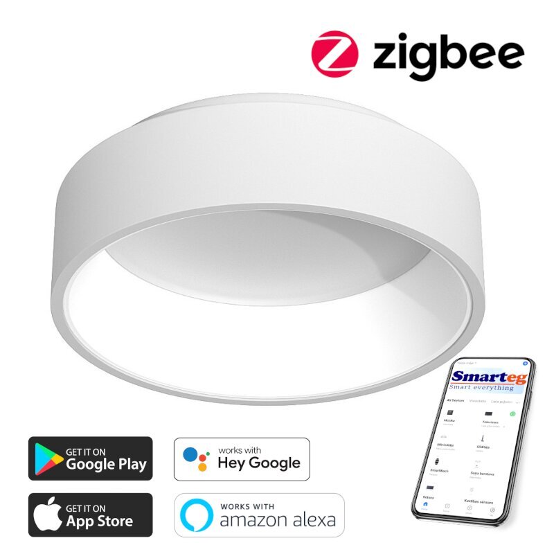 Gudra griestu lampa 60cm 39W white (Zigbee) cena un informācija | Griestu lampas | 220.lv