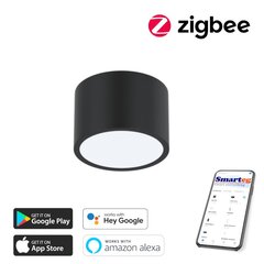 Умный потолочный светильник 15х15 см, 12 Вт, черный (Zigbee) цена и информация | Потолочный светильник | 220.lv