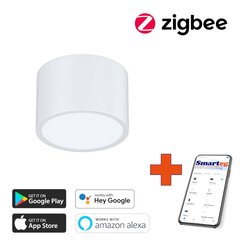 Gudra griestu lampa 15x15cm 12W white (Zigbee) cena un informācija | Griestu lampas | 220.lv