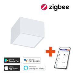 Gudra griestu lampa 15x15cm 12W white (Zigbee) цена и информация | Потолочные светильники | 220.lv