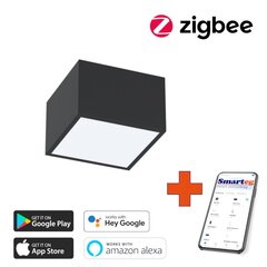 Gudra griestu lampa 15x15cm 12W black (Zigbee) cena un informācija | Griestu lampas | 220.lv