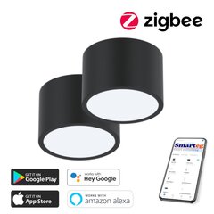 2x Gudra griestu lampa 15x15cm 12W black Zigbee cena un informācija | Griestu lampas | 220.lv