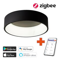 Gudra griestu lampa 60cm 39W black Zigbee цена и информация | Потолочные светильники | 220.lv