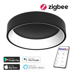 Умный потолочный светильник 60 см, 39 Вт, черный (Zigbee) цена и информация | Потолочный светильник | 220.lv