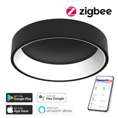 Gudra griestu lampa 60cm 39W black Zigbee цена и информация | Потолочные светильники | 220.lv