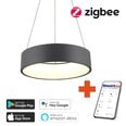 Gudra griestu lampa 45cm 30W black Zigbee