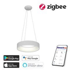 Gudra griestu lampa 45cm 30W white Zigbee cena un informācija | Griestu lampas | 220.lv