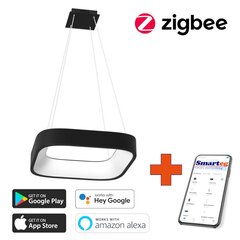 Gudra griestu lampa 45cm 36W black Zigbee cena un informācija | Griestu lampas | 220.lv