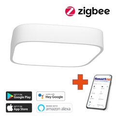 Gudra griestu lampa 80cm 67W white Zigbee cena un informācija | Griestu lampas | 220.lv