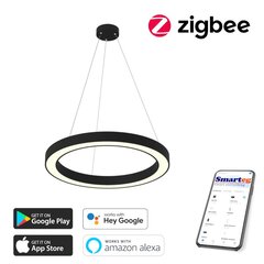 Умный потолочный светильник 95 см, 66 Вт, черный (Zigbee) цена и информация | Потолочные светильники | 220.lv