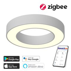 Умный потолочный светильник 60 см, 52 Вт, белый (Zigbee) цена и информация | Потолочные светильники | 220.lv