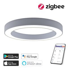 Умный потолочный светильник 95 см, 66 Вт, белый (Zigbee) цена и информация | Потолочные светильники | 220.lv