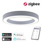 Gudra griestu lampa 95cm 66W white Zigbee цена и информация | Griestu lampas | 220.lv