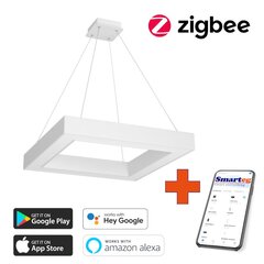 Gudra griestu lampa 80x80cm 60W white Zigbee цена и информация | Потолочные светильники | 220.lv