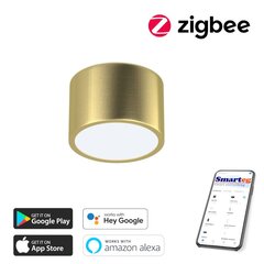 Gudra griestu lampa 15cm 12W Zigbee cena un informācija | Griestu lampas | 220.lv