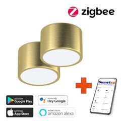 2x Gudra griestu lampa 15cm 12W ar pulti Zigbee цена и информация | Потолочные светильники | 220.lv
