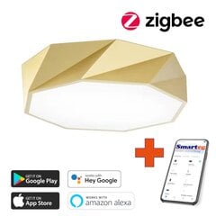 Умный потолочный светильник 40 см, 31 Вт (Zigbee) цена и информация | Потолочные светильники | 220.lv