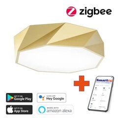 Умный потолочный светильник 60 см, 43 Вт (Zigbee) цена и информация | Потолочные светильники | 220.lv