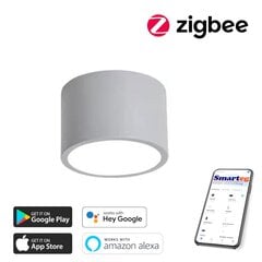 Умный потолочный светильник 15 см, 12 Вт (Zigbee) цена и информация | Потолочные светильники | 220.lv