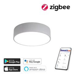 Gudra griestu lampa 60cm 25W Zigbee цена и информация | Потолочные светильники | 220.lv