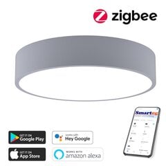 Умный потолочный светильник 60 см, 50 Вт (Zigbee) цена и информация | Потолочные светильники | 220.lv