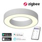 Gudra griestu lampa 60cm 66W Zigbee cena un informācija | Griestu lampas | 220.lv