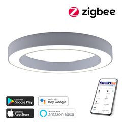 Gudra griestu lampa 95cm 66W Zigbee cena un informācija | Griestu lampas | 220.lv