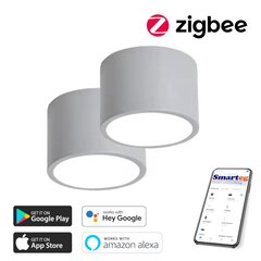 2x Gudra griestu lampa 15cm 12W ar pulti Zigbee cena un informācija | Griestu lampas | 220.lv