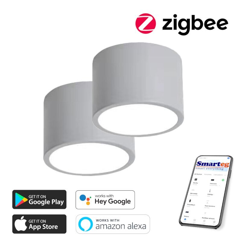 2x Gudra griestu lampa 15cm 12W ar pulti Zigbee cena un informācija | Griestu lampas | 220.lv