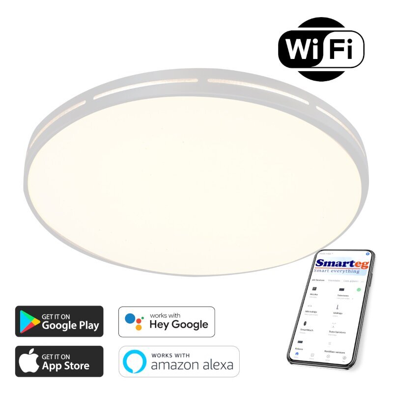 Vieda lampa 42cm 20w white Wi-Fi cena | 220.lv