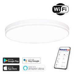 Vieda lampa 40cm 20W white Wi-Fi цена и информация | Потолочные светильники | 220.lv