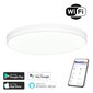 Vieda lampa 40cm 20W white Wi-Fi цена и информация | Griestu lampas | 220.lv