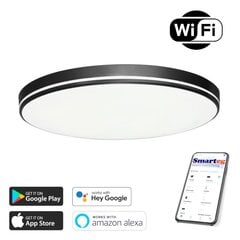 Vieda lampa 40cm 20W black Wi-Fi cena un informācija | Griestu lampas | 220.lv