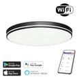 Vieda lampa 40cm 20W black Wi-Fi