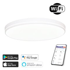 Vieda lampa 51cm 48W white Wi-Fi цена и информация | Потолочные светильники | 220.lv