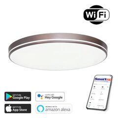 Vieda lampa 51cm 48W coffew Wi-Fi цена и информация | Потолочные светильники | 220.lv