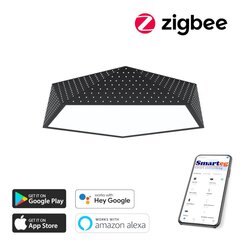 LED RGB apgaismojums 60cm 45W Zigbee cena un informācija | Griestu lampas | 220.lv