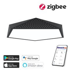 LED RGB apgaismojums 80cm 56W Zigbee цена и информация | Потолочные светильники | 220.lv