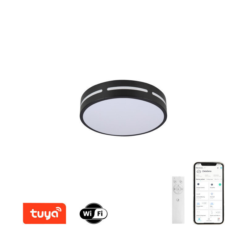 LED RGB Griestu apaļš gaismeklis 30cm 24W Wi-Fi цена и информация | Griestu lampas | 220.lv