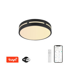 LED RGB Griestu apaļš gaismeklis 40cm 24W Wi-Fi cena un informācija | Griestu lampas | 220.lv