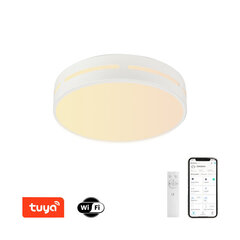 LED RGB Griestu apaļš gaismeklis 50cm 48W Wi-Fi cena un informācija | Griestu lampas | 220.lv