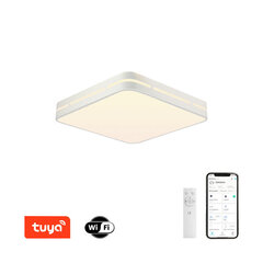 Светодиодный потолочный светильник RGB квадратный 30 см, 24 Вт цена и информация | Потолочные светильники | 220.lv