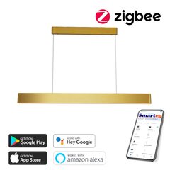 LED Lustra ar auklu 80cm, 60W Zigbee cena un informācija | Griestu lampas | 220.lv