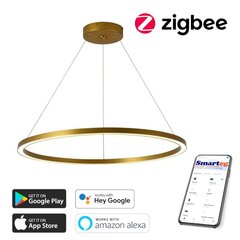 LED Lustra ar auklu 80cm, 60W Zigbee цена и информация | Потолочные светильники | 220.lv