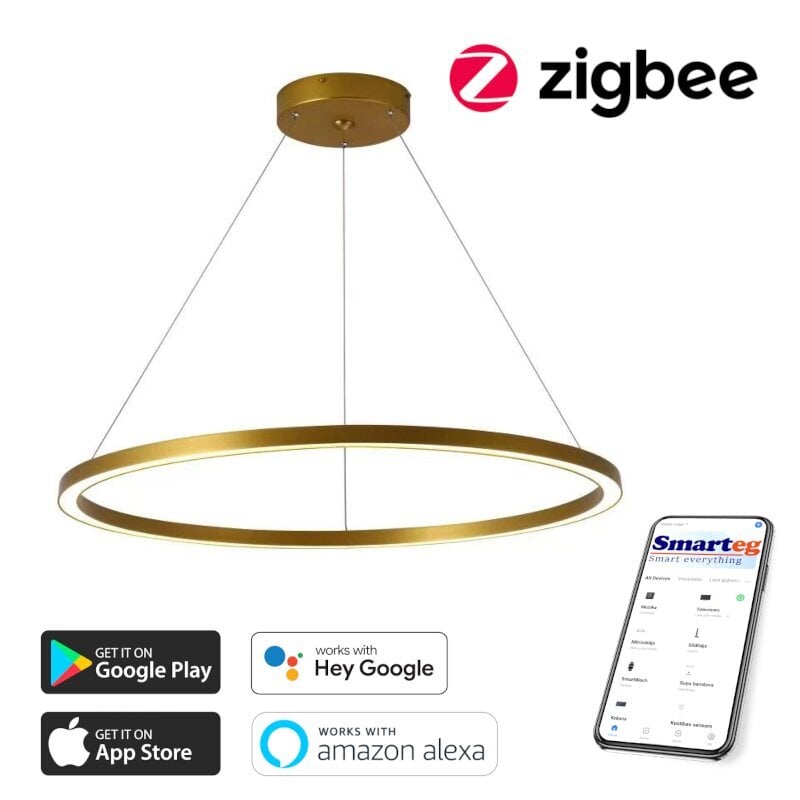 LED Lustra ar auklu 80cm, 60W Zigbee cena un informācija | Griestu lampas | 220.lv