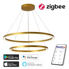 Светодиодная лампа 60+80 см, 93 Вт (zigbee) цена и информация | Потолочные светильники | 220.lv