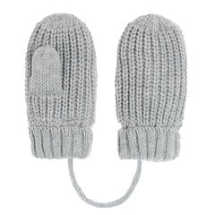 Cool Club перчатки для мальчиков, CAB2502739 цена и информация | Зимняя одежда для детей | 220.lv