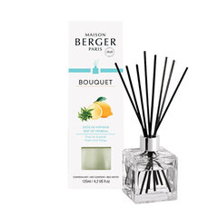 Maison Berger Paris Izkliedētājs Cube Bark no Verbena Zest of Verbena 125 ml cena un informācija | Mājas aromāti | 220.lv